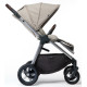 Універсальна коляска 3 в 1 MAST SWISS M.5x lion