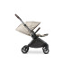 Прогулянкова коляска Mast Swiss M.6x Lion