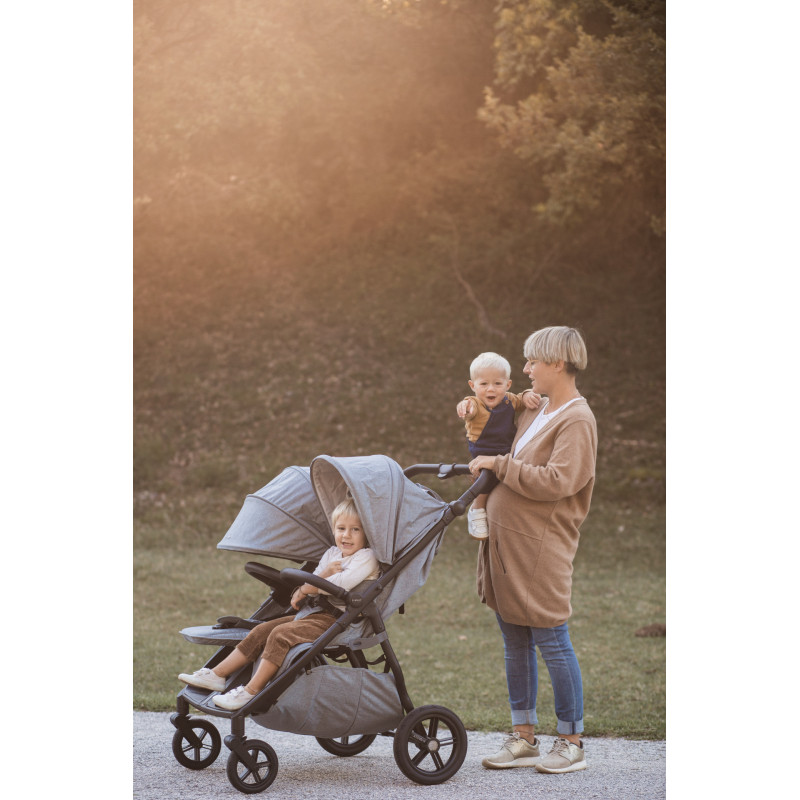 Прогулянкова коляска для двійні Mast Swiss M.Twin x Lion