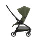 Універсальна коляска 2 в 1 Redsbaby AERON ivy