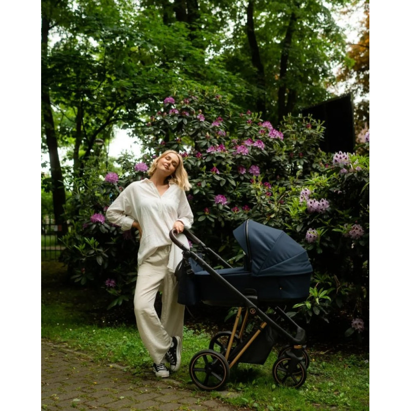 Універсальна коляска 2 в 1 Roan Ivi mystic blue/rose gold