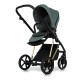 Універсальна коляска 2 в 1 Roan Ivi pine green gold
