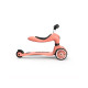 Самокат Scoot and Ride Highwaykick-1 персик,1-5 років