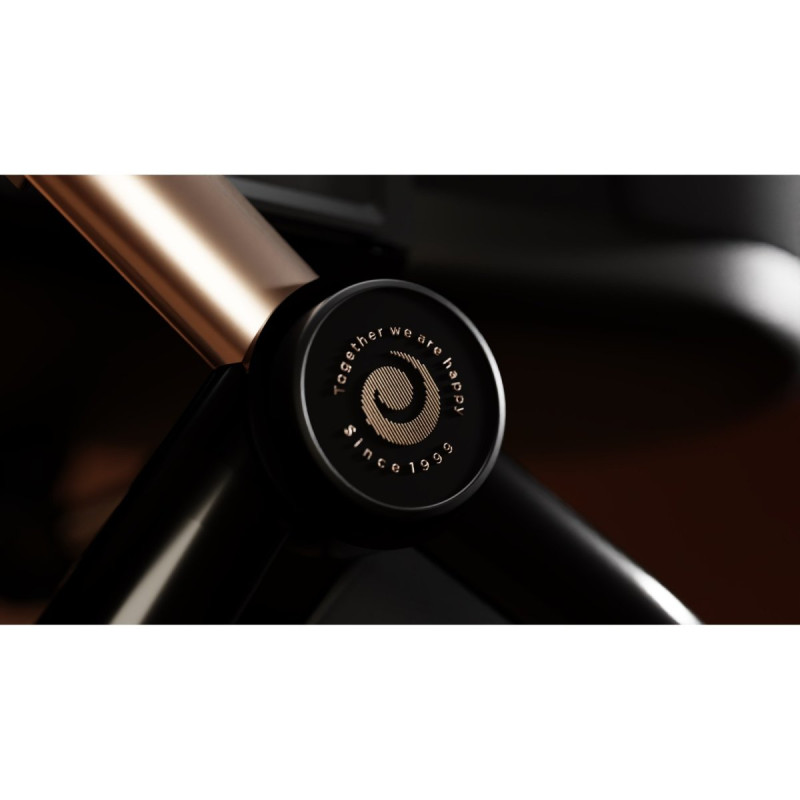 Універсальна коляска 2 в 1 TUTIS Mio plus Thermo black edition rose gold