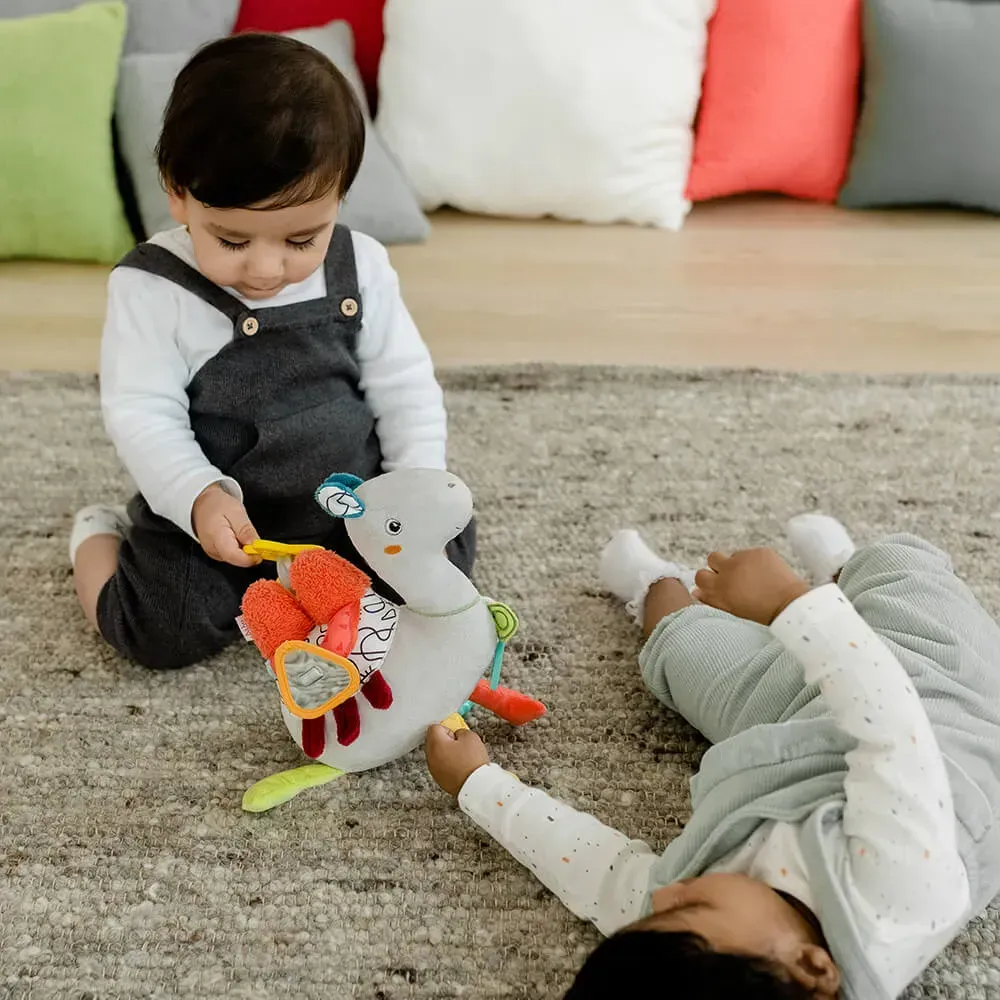 галерея-зображення