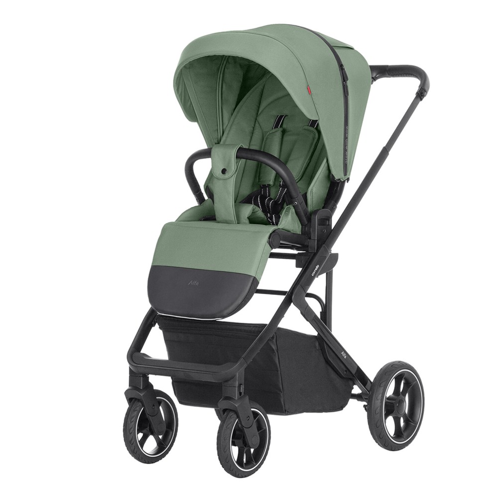 Коляска 2 в 1 Carrello Alfa/W CRL-6507 Sea Green