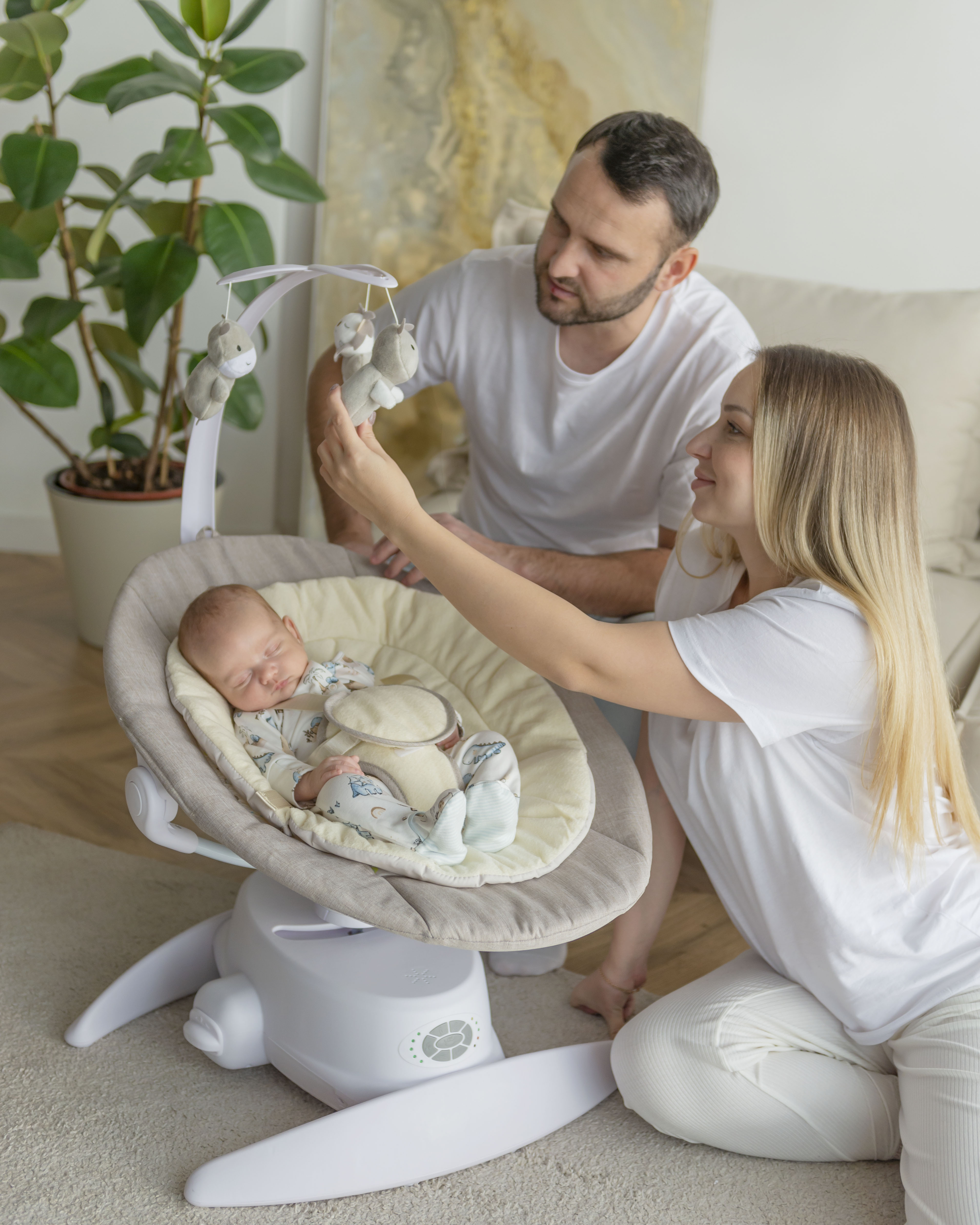 Cradle 'n Swing Hobby