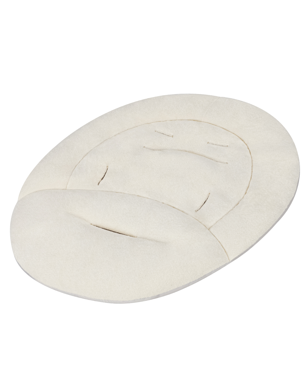 Cradle 'n Swing Hobby